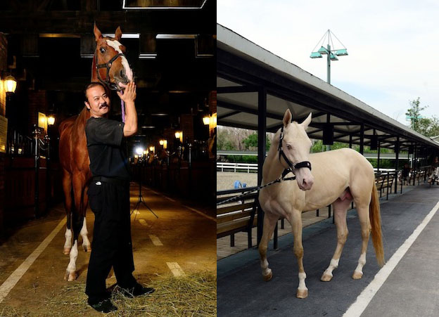 图片关键词 图片关键词