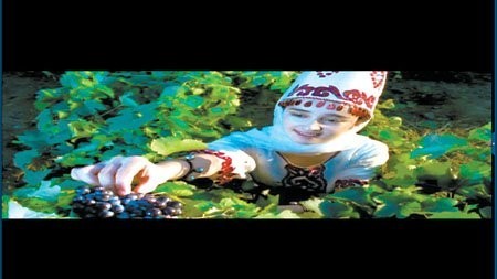 图片关键词 图片关键词